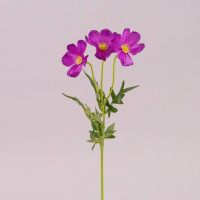 Квітка Польова фіолетова 72738