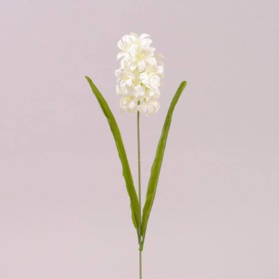 Цветок Гиацинт белый 72753