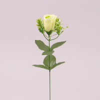 Квітка Троянда зелена 72769