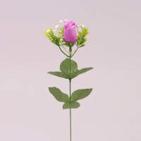 Цветок Роза фиолетовый 72770