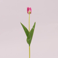 Цветок Тюльпан пенка малиновый 72779