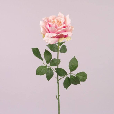 Цветок Роза розовый 72818