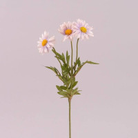Квітка Маргаритка світло-фіолетова 72911