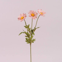 Квітка Маргаритка рожева 72914