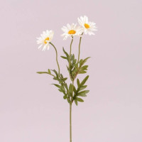 Квітка Маргаритка біла 72915