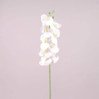 Цветок Фаленопсис из латекса белый 73006