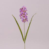 Цветок Гиацинт розово-фиолетовый 73227