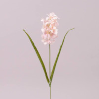 Цветок Гиацинт нежно-розовый 73230