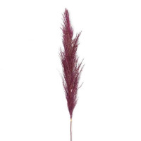 Трава пампасна натуральна фіолетова 110 см. 73161