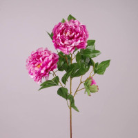 Квітка Півонія рожева 73130