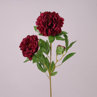 Цветок Пион бордовый 73133