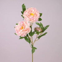 Цветок Пион светло-розовый 73135