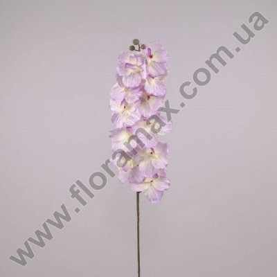 Цветок Фаленопсис фиолетовый 70499