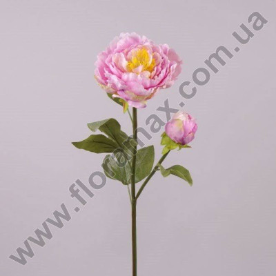 Квітка Півонія рожева 70638