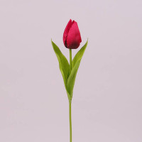 Цветок Тюльпан красный 73255