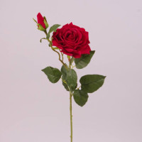 Цветок Роза красный 73281