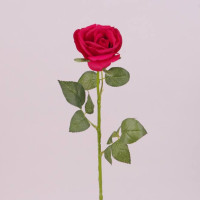 Цветок Роза красный 73283