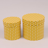 Комплект жовтих коробок для квітів в білий горошок 2 шт. 39910