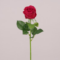 Цветок Роза красный 76534