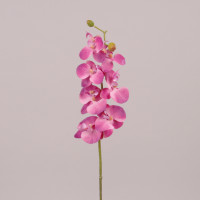 Квітка Фаленопсис рожева 76533