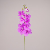 Квітка Фаленопсис фіолетова 76607