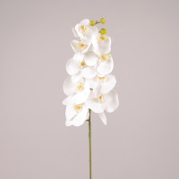 Квітка Фаленопсис біла 76608