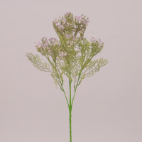 Гілка Польова з фіолетовим цвітом 76556