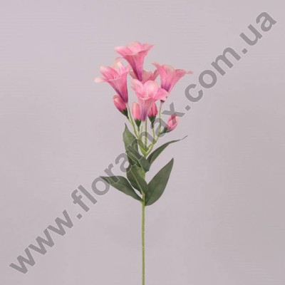Квітка Лілія рожева 70847