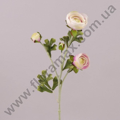 Квітка Камелія біло-фіолетова 71045
