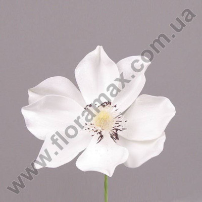 Цветок Магнолия белая 27665