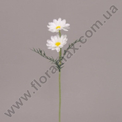 Квітка Ромашка 70059