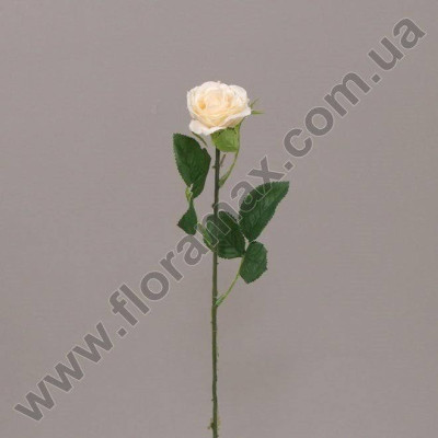 Квітка Троянда кремовий 70087