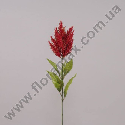 Цветок Целозия красный 70245