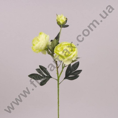 Цветок Пион зеленый 70650