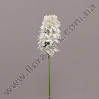 Квітка Гіацинт біла 70071